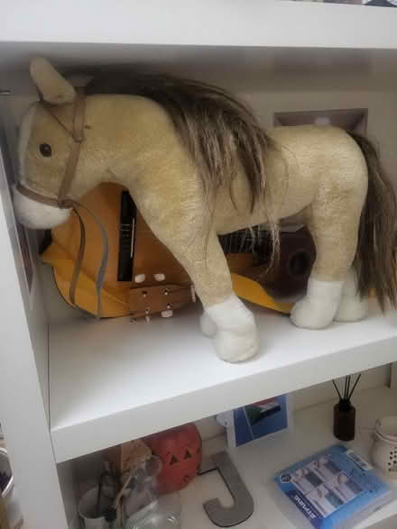 Photo of free Horse looking for warm home (West Drayton UB7) #2