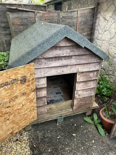 Photo of free Dog kennel (East Tisted GU34) #1