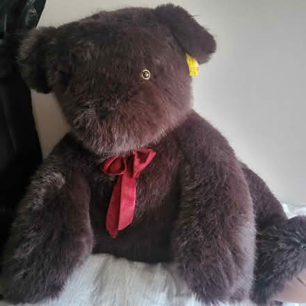 Photo of free Large bear (Lucan) #2