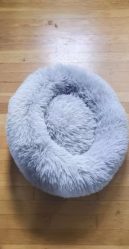 Photo of free Pet bed small (Springfield - Scenic Hills) #1