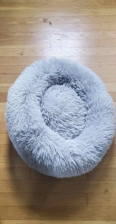 Photo of free Pet bed small (Springfield - Scenic Hills) #1