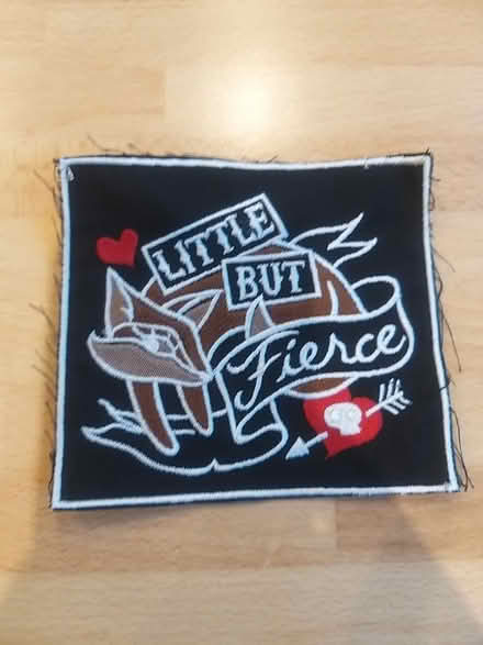 Photo of free Little but fierce patch 5" x4.5" (Penwortham PR1) #1