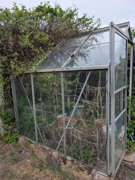 Photo of free Glass green house (Oakwood derby) #2