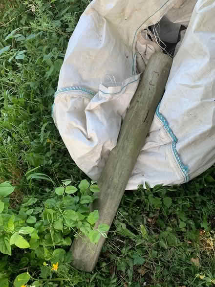 Photo of free Pole (BA2) #1