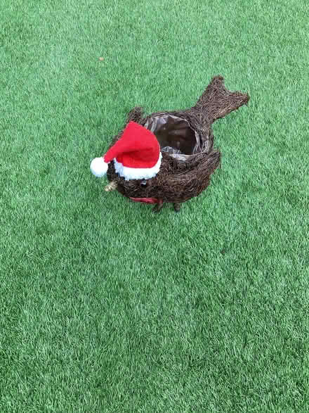 Photo of free Robin Basket (Stoneham SO50) #1