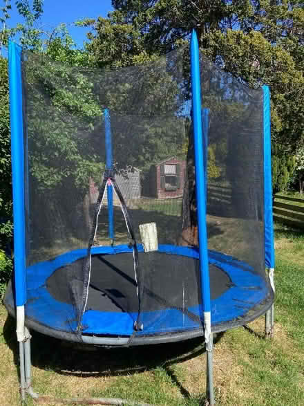 Photo of free Trampoline (Pannal HG2) #2