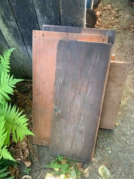 Photo of free Hardwood timber (Hulme M16) #3