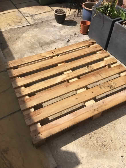 Photo of free Wooden pallet (Clifton SG17) #1