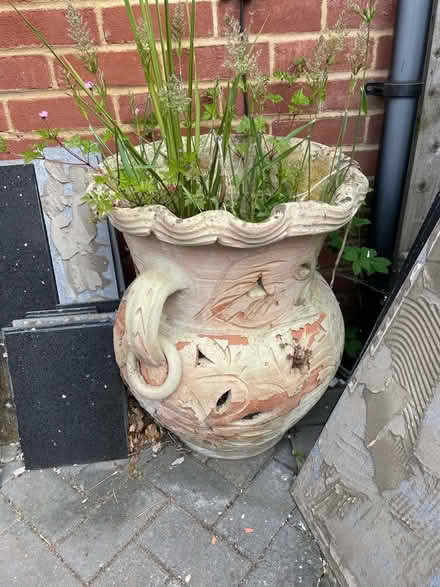 Photo of free plant pot (Collier Row RM1) #1