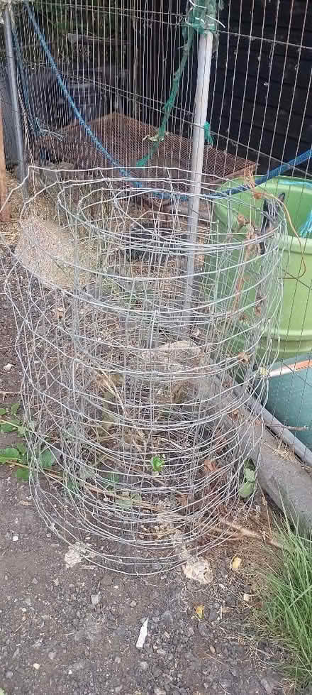 Photo of free Small amount of sheep netting wire (Battle TN33) #1