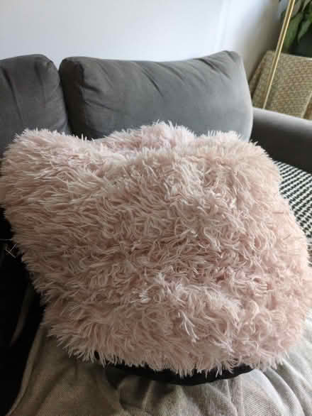 Photo of free pink pet donut bed (Archway, N19) #2