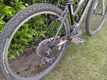 Photo of free Ladies Mountain Bike (Durham City) #3