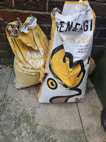 Photo of free Chicken food (Huddersfield HD8) #1