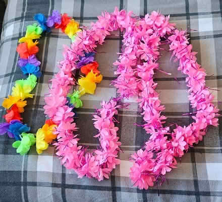 Photo of free Hawaiian garlands (Chaddesden Wood DE21) #1