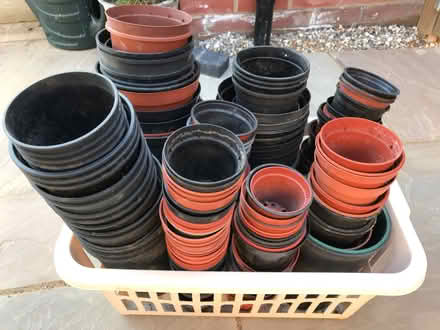 Photo of free Flower pots (Maldon Wick CM9) #1