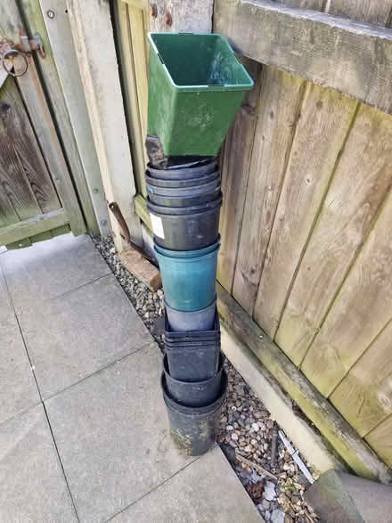 Photo of free tree pots (Wigmore HR6) #1