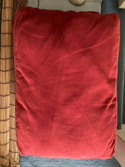 Photo of free 2 futon cushions (Ivybridge, Devon) #1