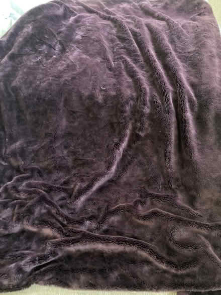 Photo of free Purple blanket (North End BS49) #1