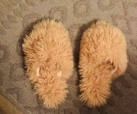Photo of free Slippers open toed (Tufnell Park N7) #1