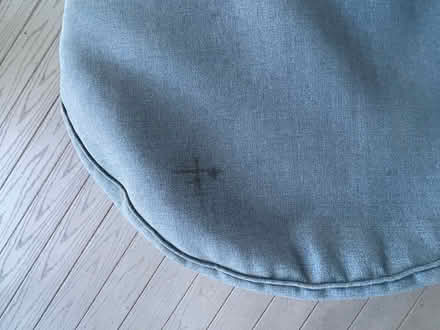 Photo of free Outdoor bean bag ottomans, seats (Arlington Forest) #2