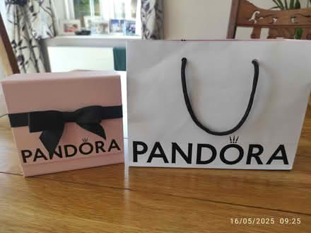 Photo of free Empty Pandora box and bag (Chesham HP5) #1