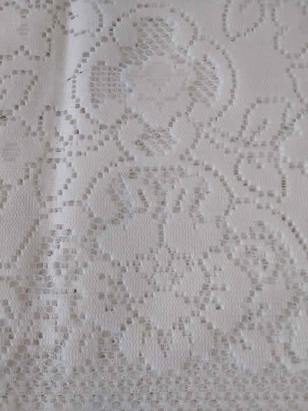 Photo of free Lacy cloth (Poundbury DT1) #1