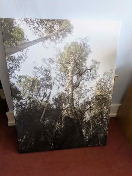 Photo of free Pictures (Sevenoaks TN13) #1