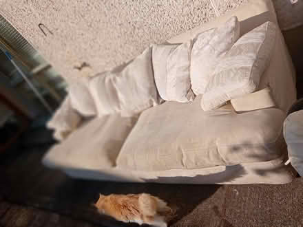 Photo of free Sofa (Newcastle county dublin) #3