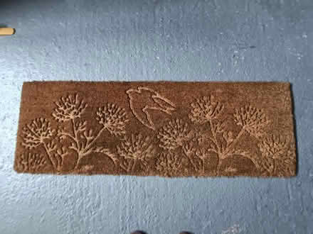 Photo of free House Martin Outdoor Patio Doormat (Letchworth SG6) #1