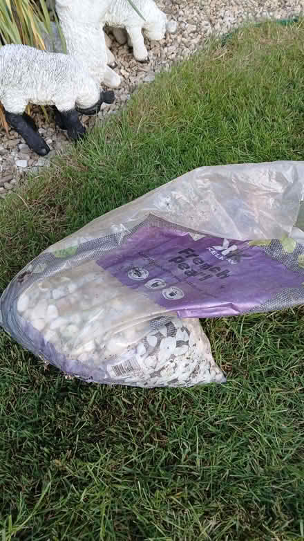 Photo of free French Pearl Gravel (Bowerhill SN12) #2
