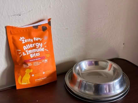 Photo of free Pet Accessories (1711 Randall Avenue, Bronx) #3