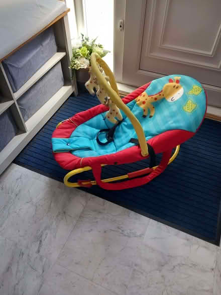 Photo of free Baby bouncer and car seat (Shieldhill FK1) #3