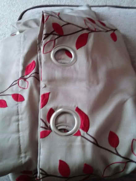 Photo of free Curtains (TN31) #1