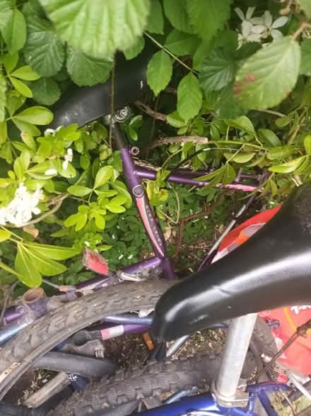 Photo of free 3 x bikes spares or repairs (Bedmond WD5) #3