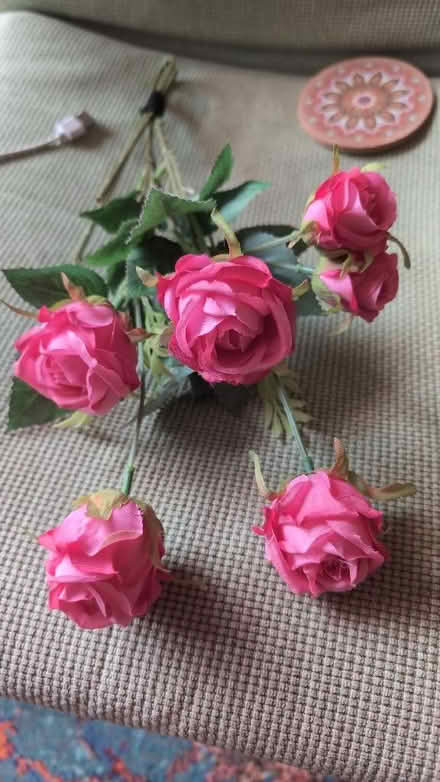 Photo of free Silk roses (Combe Down) #1