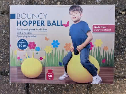 Photo of free Bouncer/space hopper (Baldock SG7) #2