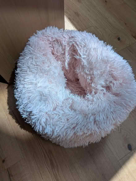 Photo of free pink pet donut bed (Archway, N19) #1