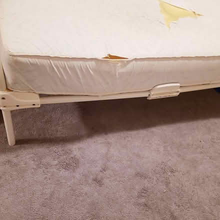 Photo of free Toddler bed frame (East Mississauga) #2