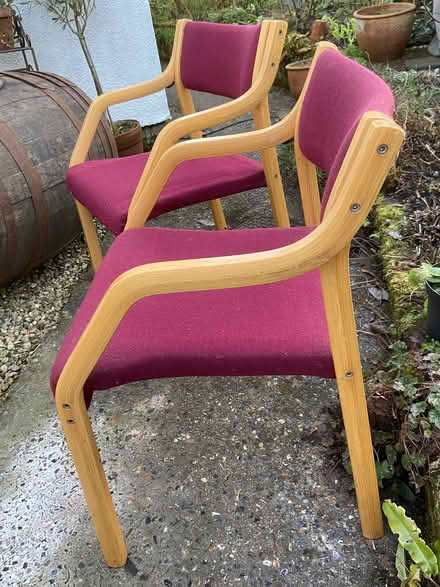 Photo of free Carver chairs (Longham NR19) #2