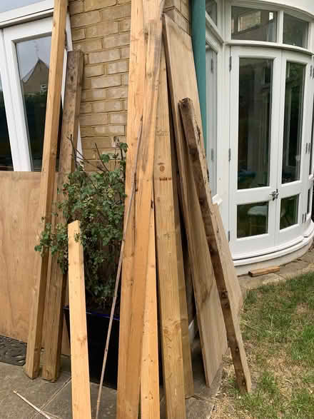 Photo of free Wood (Elephant and castle SE11) #1