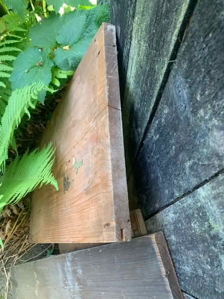 Photo of free Hardwood timber (Hulme M16) #4