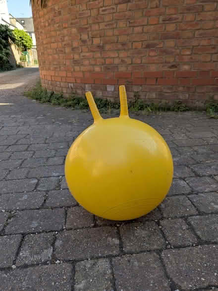 Photo of free Bouncer/space hopper (Baldock SG7) #1