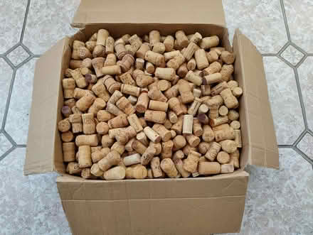 Photo of free Corks (Aberporth, Ceredigion SA43) #1