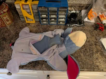 Photo of free Hot water bottle and cover. (AB22) #4