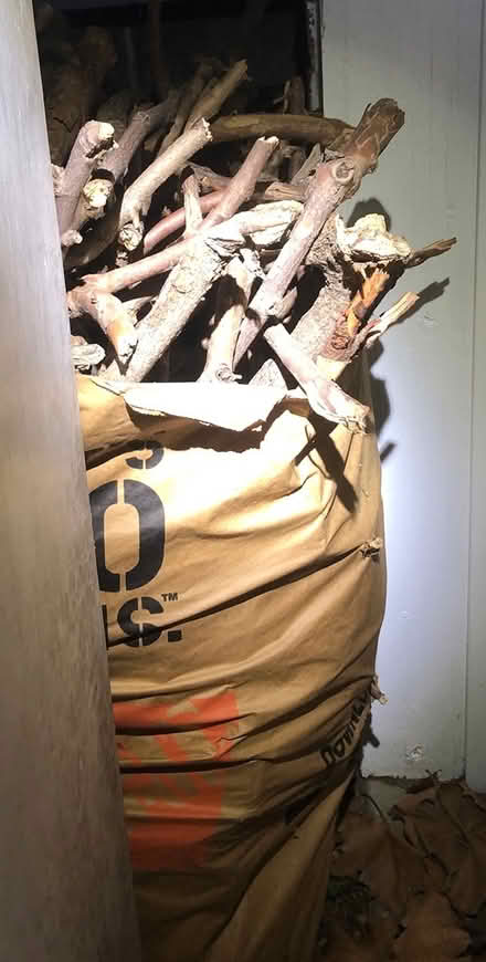 Photo of free Bags of firewood for outdoor use (East Watertown) #2