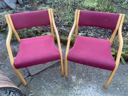 Photo of free Carver chairs (Longham NR19) #3