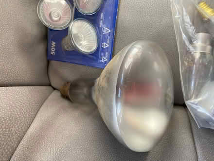 Photo of free Light bulbs (Woodford IG8) #2