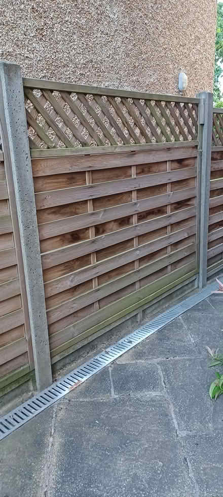 Photo of free 4 fence boards with trellis effect (Loughborough central) #2