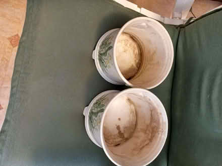 Photo of free Indoor plant pots (Beaconsfield HP9) #4