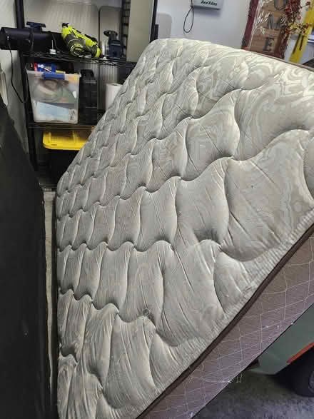 Photo of free Mattress and box spring (Market St. And Porters Neck) #2